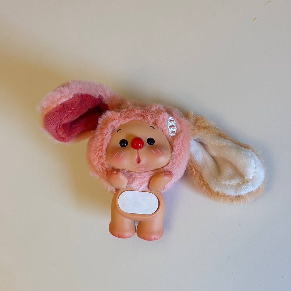 The OYO Bunny Animal Party Hipper Series Blind Box Confirmed Figure